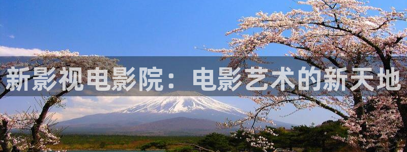 万影网木瓜视频：新影视电影院：电影艺术的新天地