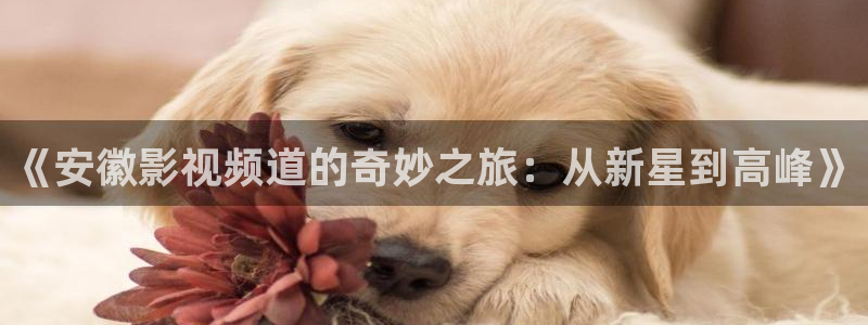 木瓜影视app下载