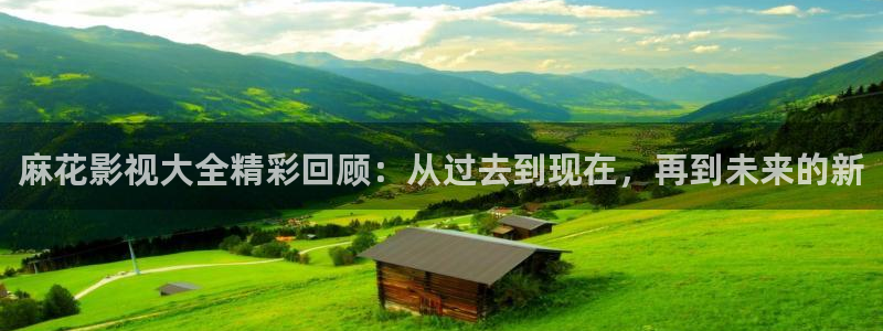 木瓜电影网福利：麻花影视大全精彩回顾：从过去到现在，再到未来的新